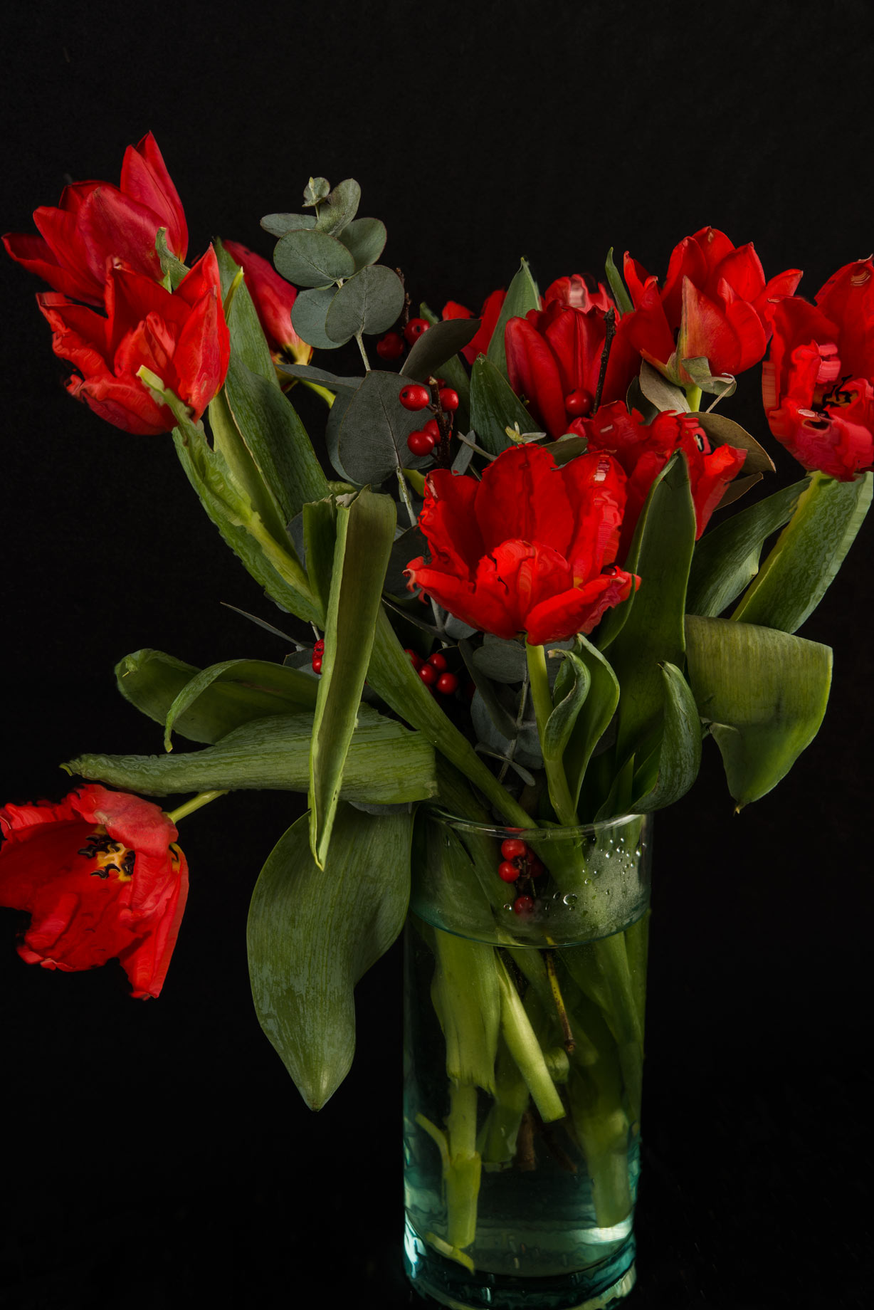 Fine-art-photography-tulip-abstract-1web.jpg